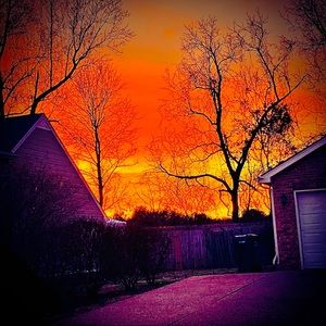 Meet your Posher, Ace